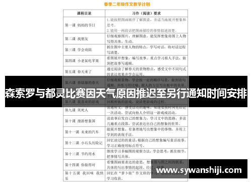 森索罗与都灵比赛因天气原因推迟至另行通知时间安排